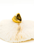 Oki Chunky Irregular Shell Gold Ring - Everyday Jewelry | Chic Chic Bon